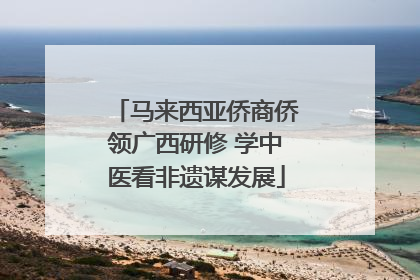 马来西亚侨商侨领广西研修 学中医看非遗谋发展