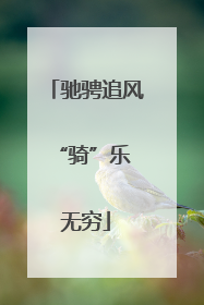 驰骋追风 “骑”乐无穷