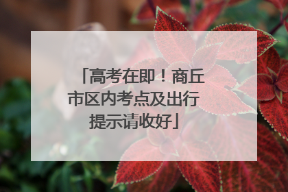 高考在即！商丘市区内考点及出行提示请收好