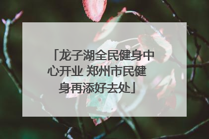 龙子湖全民健身中心开业 郑州市民健身再添好去处