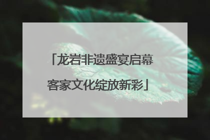 龙岩非遗盛宴启幕 客家文化绽放新彩