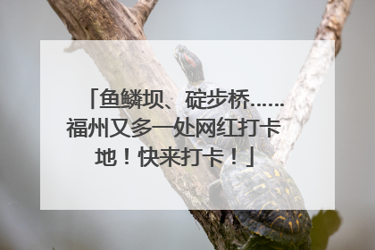 鱼鳞坝、碇步桥……福州又多一处网红打卡地！快来打卡！