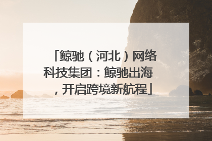 鲸驰（河北）网络科技集团：鲸驰出海，开启跨境新航程