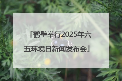 鹤壁举行2025年六五环境日新闻发布会