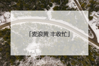 麦浪黄 丰收忙