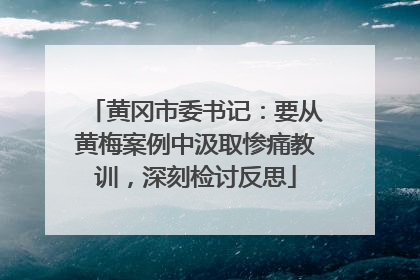 黄冈市委书记：要从黄梅案例中汲取惨痛教训，深刻检讨反思