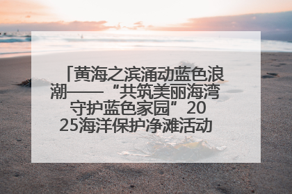 黄海之滨涌动蓝色浪潮——“共筑美丽海湾 守护蓝色家园”2025海洋保护净滩活动暨“美丽江苏—江河湖海青蓝行”海洋篇在连云港举行