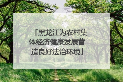 黑龙江为农村集体经济健康发展营造良好法治环境