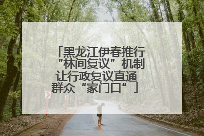 黑龙江伊春推行“林间复议”机制 让行政复议直通群众“家门口”