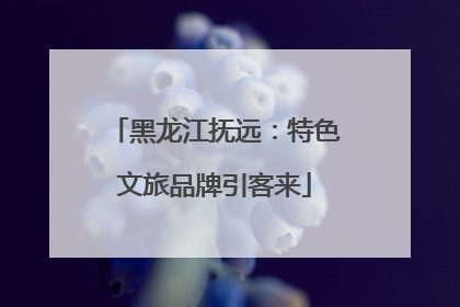 黑龙江抚远：特色文旅品牌引客来