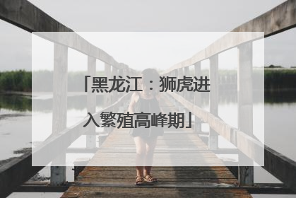 黑龙江：狮虎进入繁殖高峰期