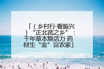 （乡村行·看振兴）“正北芪之乡”：千年草本焕活力 药材生“金”富农家