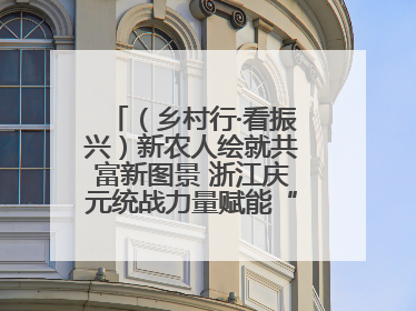（乡村行·看振兴）新农人绘就共富新图景 浙江庆元统战力量赋能“海拔经济”
