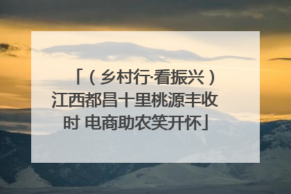 （乡村行·看振兴）江西都昌十里桃源丰收时 电商助农笑开怀