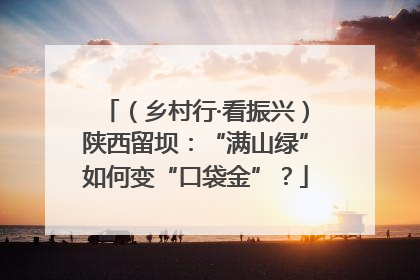 （乡村行·看振兴）陕西留坝：“满山绿”如何变“口袋金”？