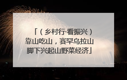 （乡村行·看振兴）靠山吃山，赛罕乌拉山脚下兴起山野菜经济
