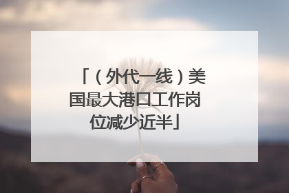 （外代一线）美国最大港口工作岗位减少近半