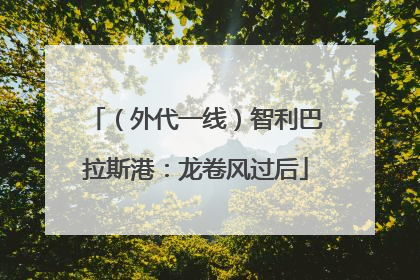 （外代一线）智利巴拉斯港：龙卷风过后