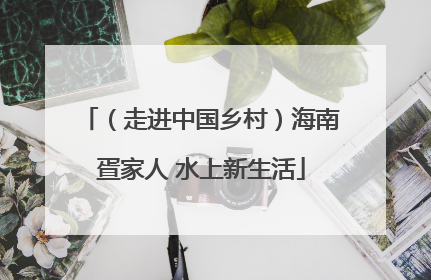 （走进中国乡村）海南疍家人 水上新生活