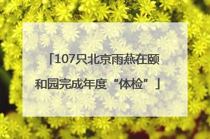 107只北京雨燕在颐和园完成年度“体检”