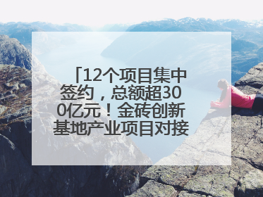 12个项目集中签约，总额超300亿元！金砖创新基地产业项目对接会举行