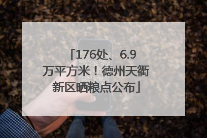 176处、6.9万平方米！德州天衢新区晒粮点公布