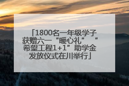 1800名一年级学子获赠六一“暖心礼” “希望工程1+1”助学金发放仪式在川举行