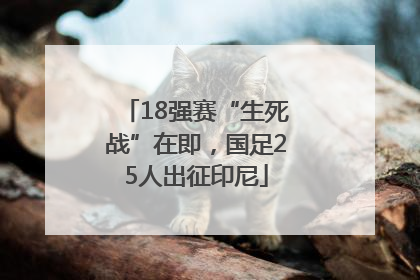 18强赛“生死战”在即，国足25人出征印尼