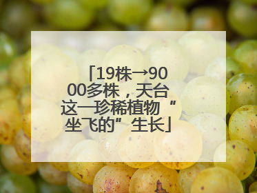 19株→9000多株，天台这一珍稀植物“坐飞的”生长