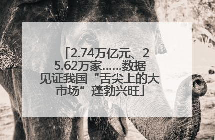 2.74万亿元、25.62万家……数据见证我国“舌尖上的大市场”蓬勃兴旺