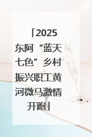 2025东阿“蓝天七色”乡村振兴职工黄河微马激情开跑