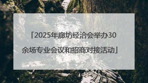 2025年廊坊经洽会举办30余场专业会议和招商对接活动