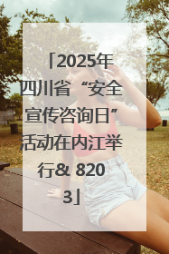 2025年四川省“安全宣传咨询日”活动在内江举行& 8203