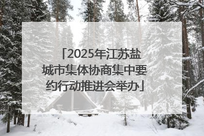 2025年江苏盐城市集体协商集中要约行动推进会举办