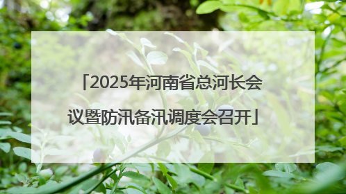 2025年河南省总河长会议暨防汛备汛调度会召开