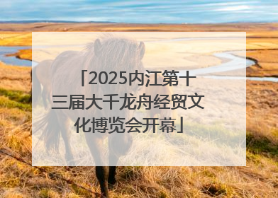 2025内江第十三届大千龙舟经贸文化博览会开幕