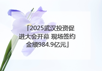 2025武汉投资促进大会开幕 现场签约金额984.9亿元