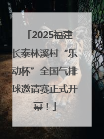 2025福建长泰林溪村“乐动杯”全国气排球邀请赛正式开幕！