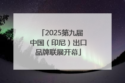 2025第九届中国（印尼）出口品牌联展开幕