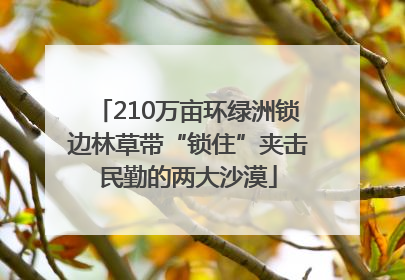 210万亩环绿洲锁边林草带“锁住”夹击民勤的两大沙漠