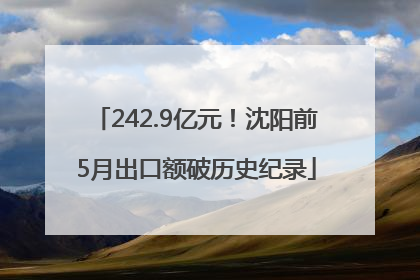 242.9亿元！沈阳前5月出口额破历史纪录