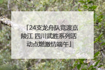 24支龙舟队竞渡嘉陵江 四川武胜系列活动点燃激情端午
