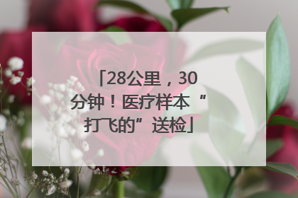 28公里，30分钟！医疗样本“打飞的”送检
