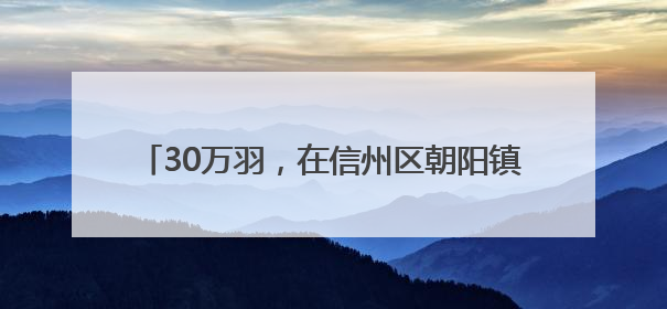 30万羽，在信州区朝阳镇有个鹌鹑养殖基地（图）