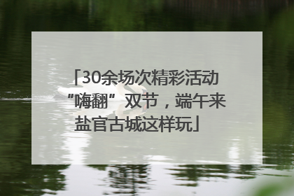 30余场次精彩活动“嗨翻”双节，端午来盐官古城这样玩