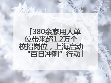 380余家用人单位带来超1.2万个校招岗位，上海启动“百日冲刺”行动