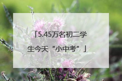 5.45万名初二学生今天“小中考”