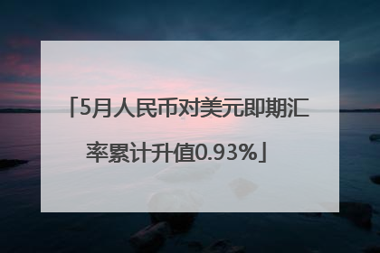 5月人民币对美元即期汇率累计升值0.93%
