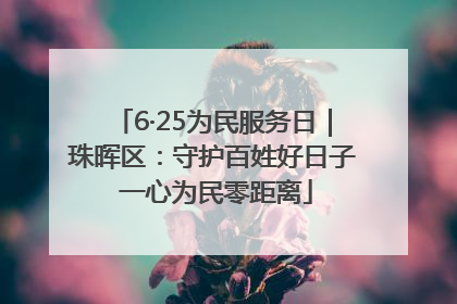 6·25为民服务日｜珠晖区：守护百姓好日子 一心为民零距离