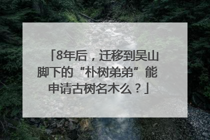 8年后，迁移到吴山脚下的“朴树弟弟”能申请古树名木么？
